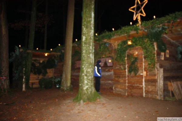 Galeriebild