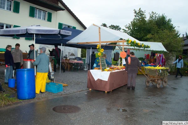 Galeriebild