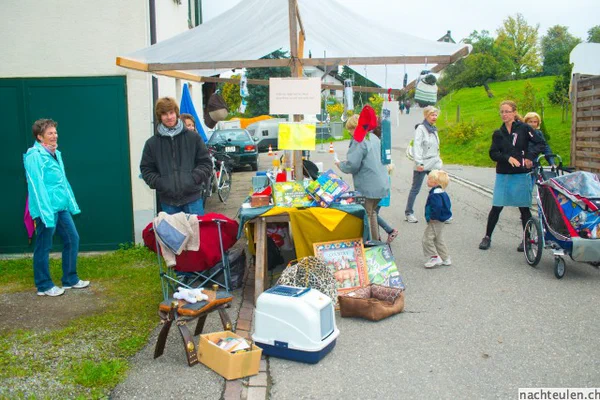 Galeriebild