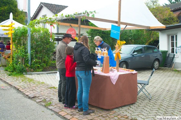 Galeriebild