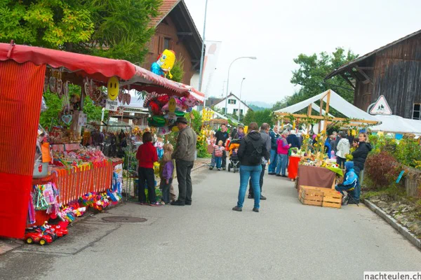 Galeriebild