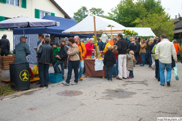Galeriebild