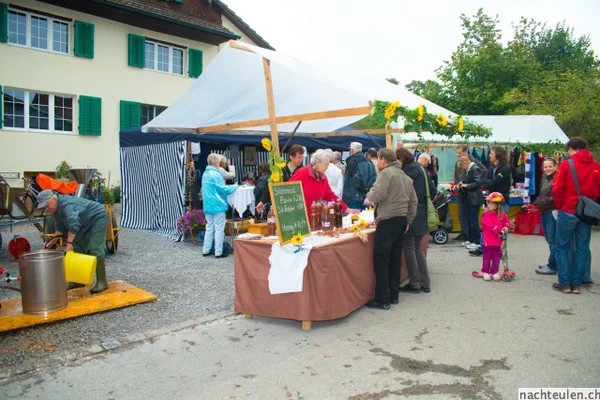 Galeriebild