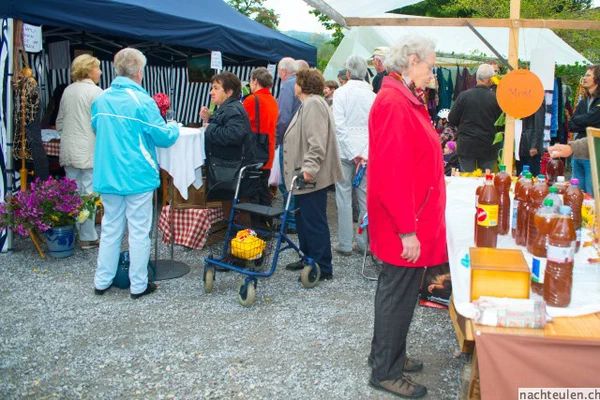 Galeriebild