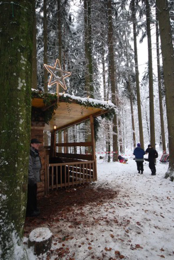 Galeriebild