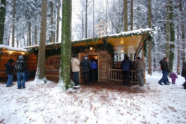 Galeriebild