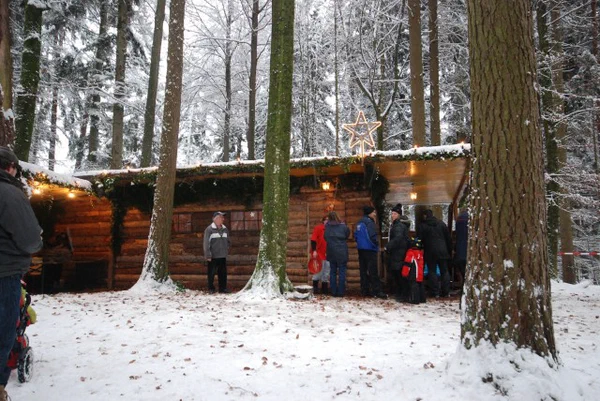 Galeriebild