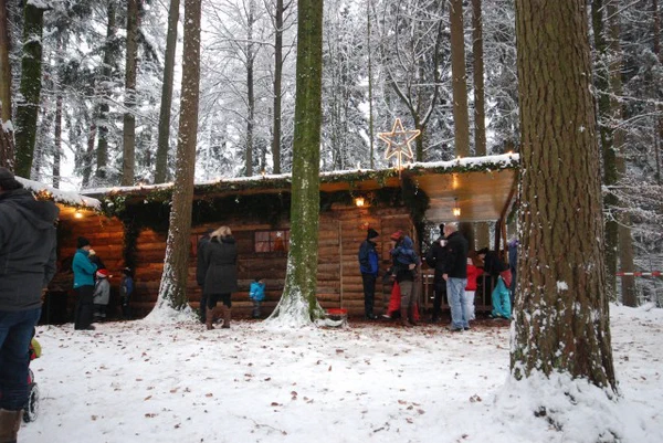 Galeriebild