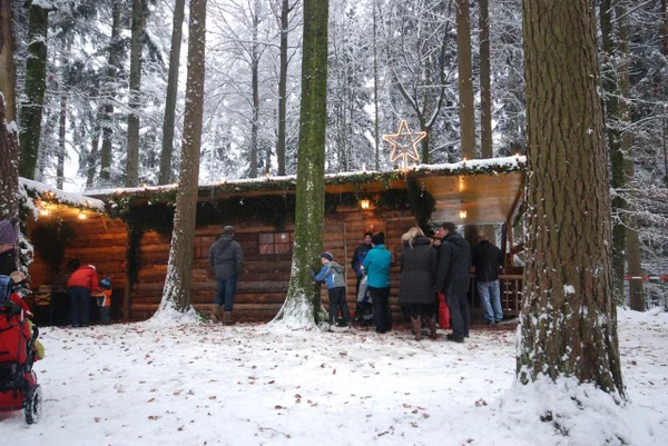 Galeriebild