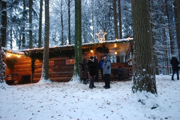 Galeriebild