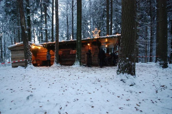 Galeriebild