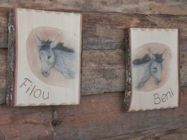 Galeriebild