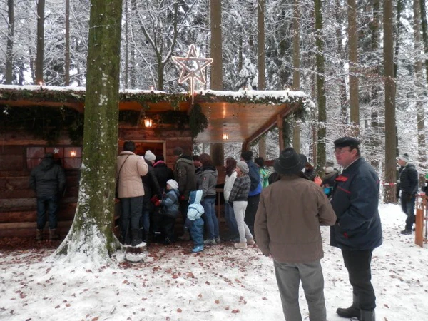 Galeriebild
