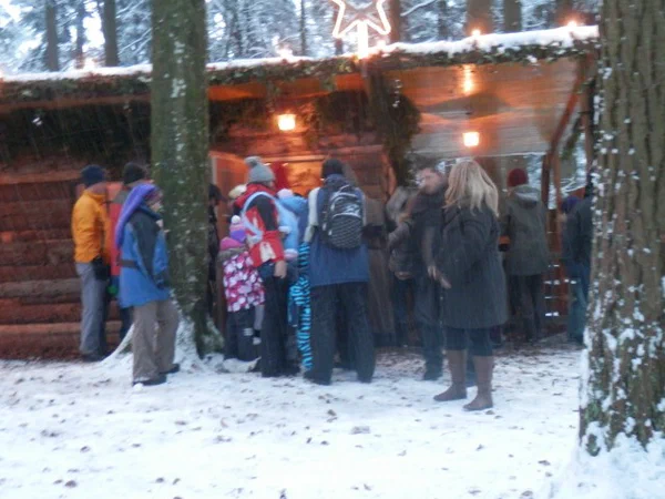 Galeriebild