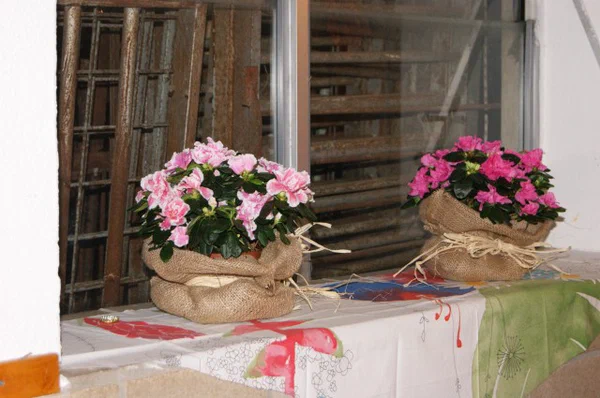 Galeriebild