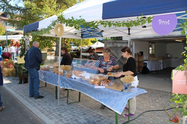 Galeriebild