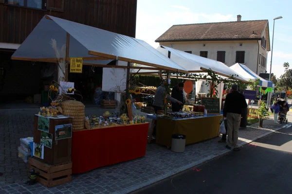 Galeriebild