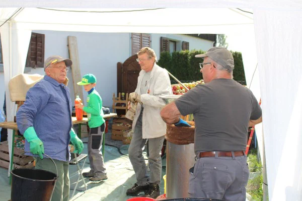 Galeriebild