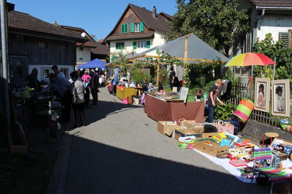 Galeriebild