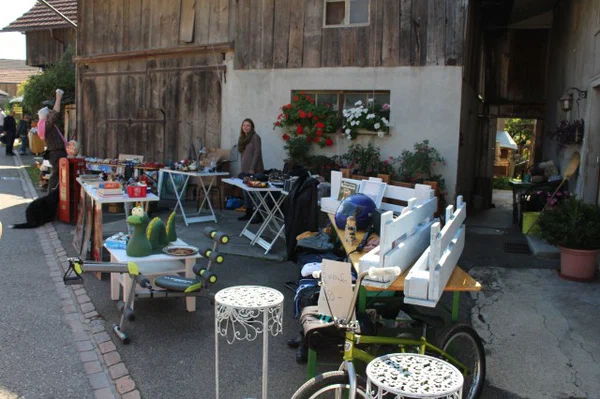 Galeriebild