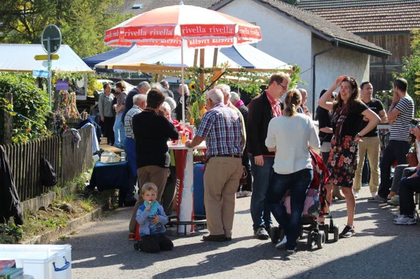 Galeriebild