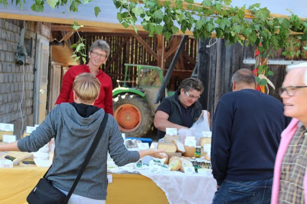 Galeriebild