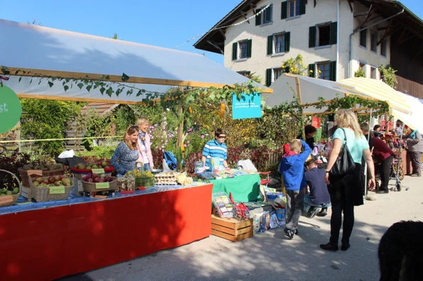 Galeriebild