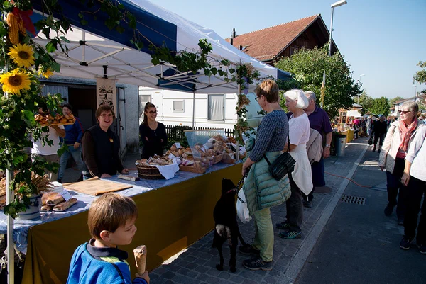 Galeriebild