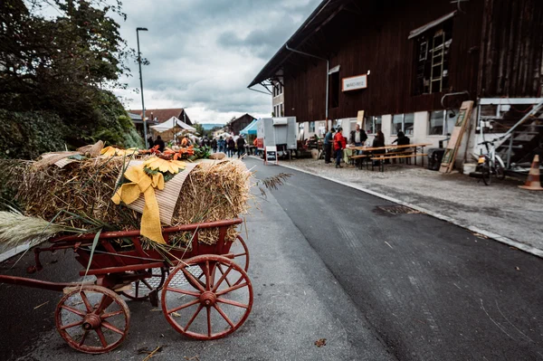 Galeriebild