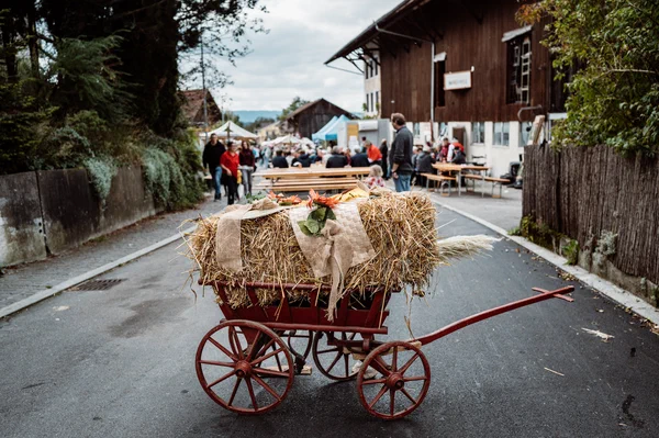 Galeriebild