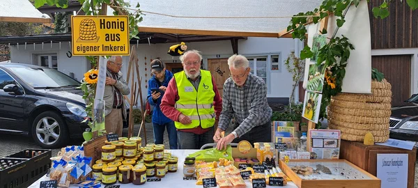 Galeriebild
