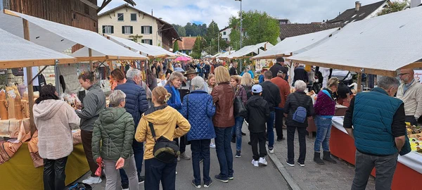 Galeriebild