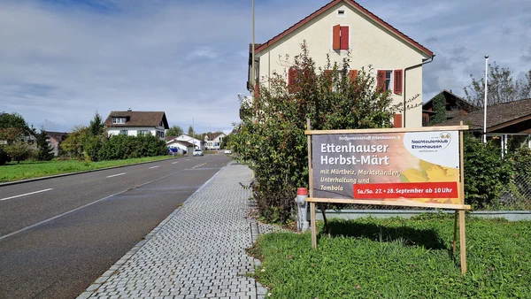 Galeriebild