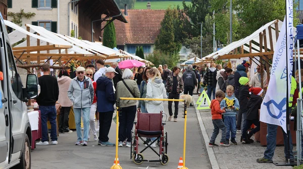 Galeriebild
