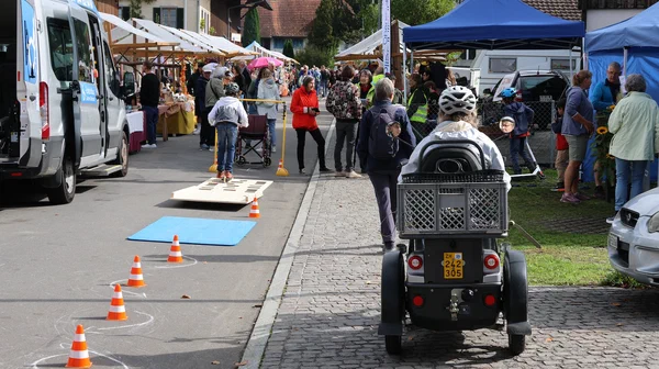 Galeriebild