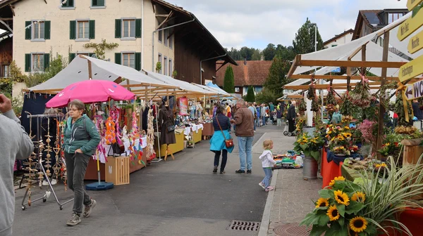 Galeriebild
